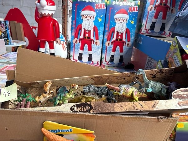 Dinosaur Collection Box